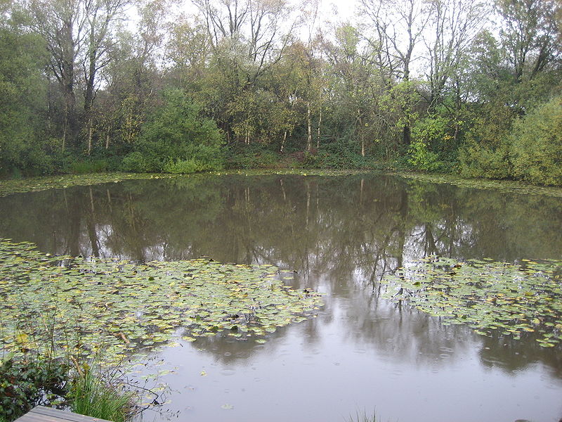 Spanbroekmolen-krateret fotografert i 2009